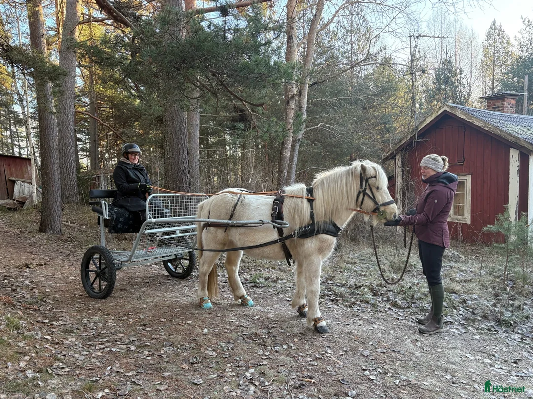 Körvagnar körning till salu: Rockard från Tidaholmsvagnar  - Annons 2