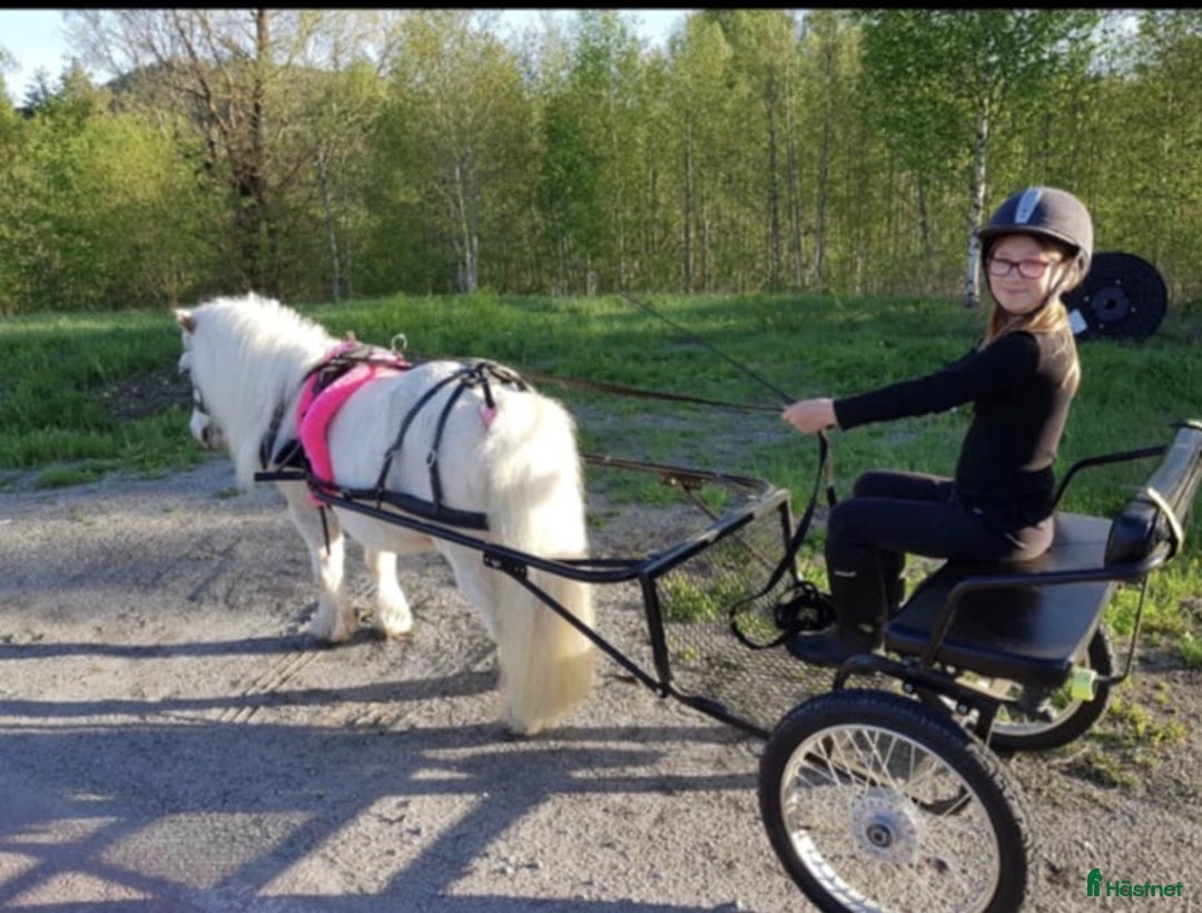 Övrig Hästutrustning hästutrustning till salu: Bröstsele och baksele i Ljungaverk - Annons 1