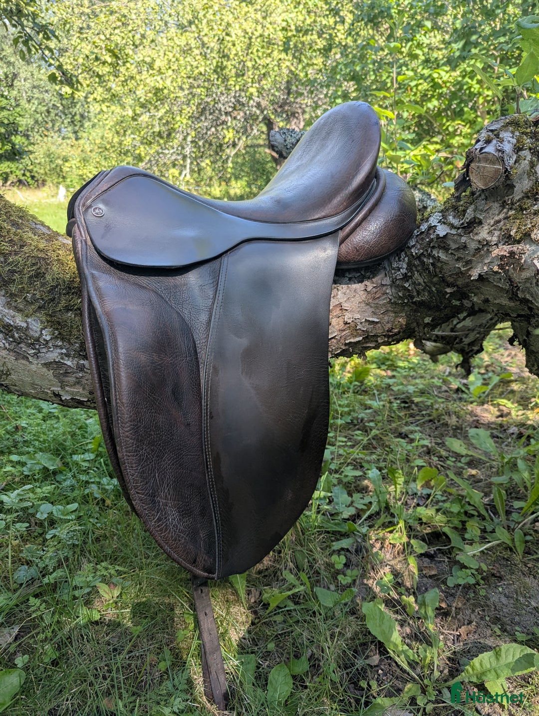 Sadlar hästutrustning till salu: Morris Nolan dressyrsadel  i Harbo - Annons 6