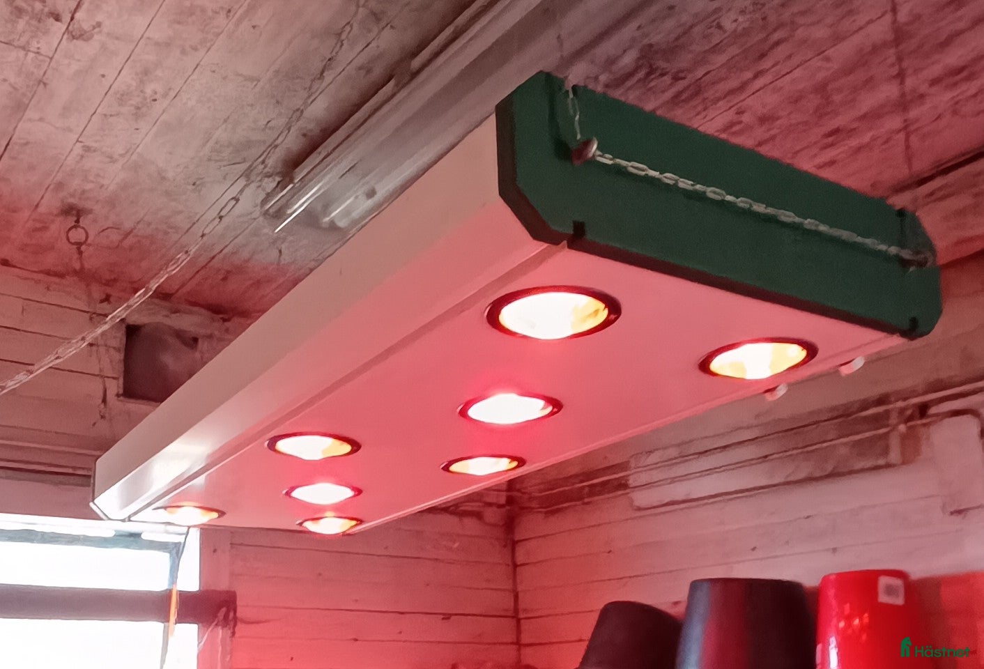 Stallinredning, stängsel & gård övrig utrustning till salu: Fint Sundance solarium  - Annons 11