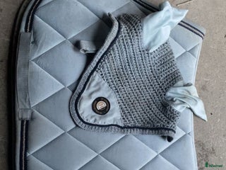 Schabrak & Vojlockar hästutrustning till salu: Blått JH collection set i Norrtälje - Annons 3