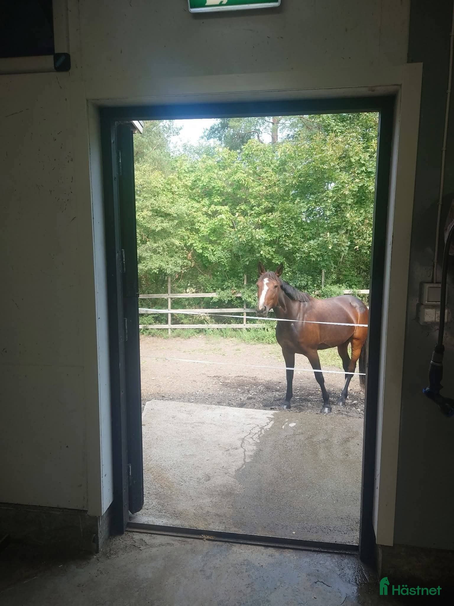  stallplats finnes: Stallplats i Upplands Väsby  - Annons 9
