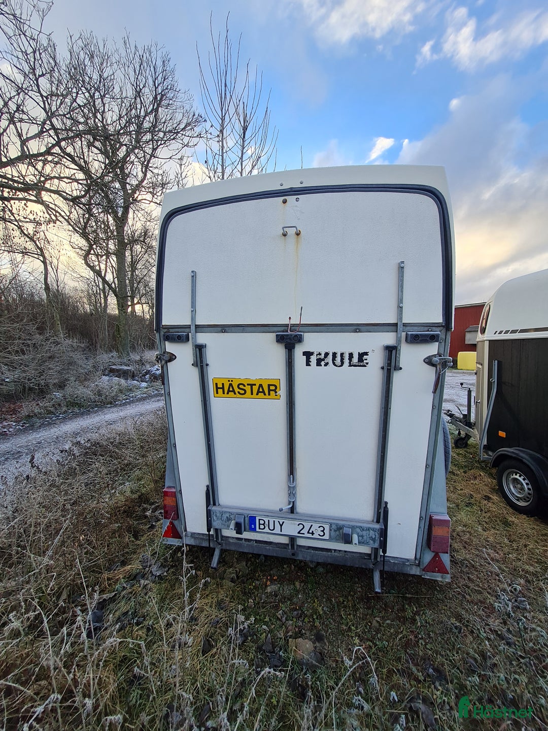 Hästtransporter  fordon & transport till salu: Hästtransport Thule  i Borensberg - Annons 4