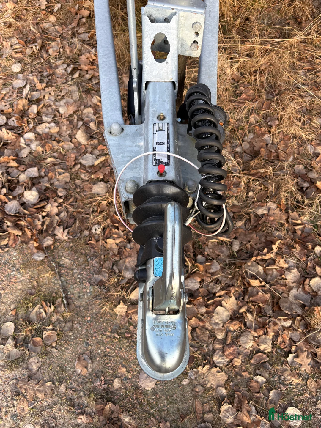 Hästtransporter  fordon & transport till salu: Hästtransport  i Mölndal - Annons 3