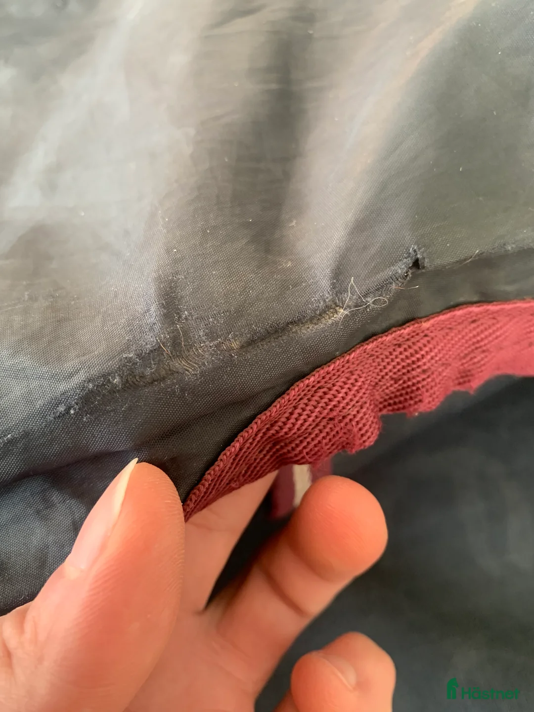 Täcken hästutrustning till salu: Horseware amigo 0g stl. 145 - Annons 7