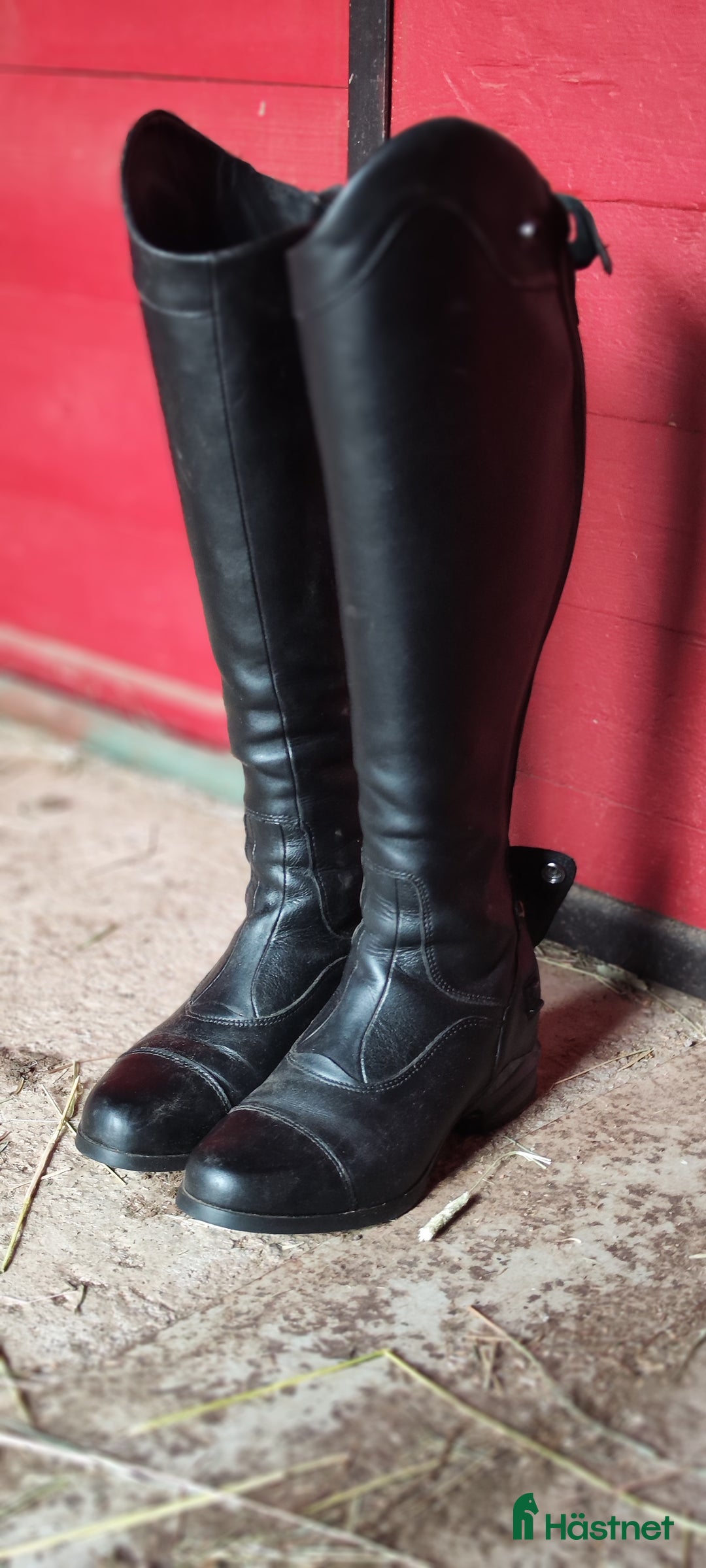 Ridstövlar ryttarutrustning till salu: Ariat Nitro ridstövlar  i Vimmerby - Annons 1