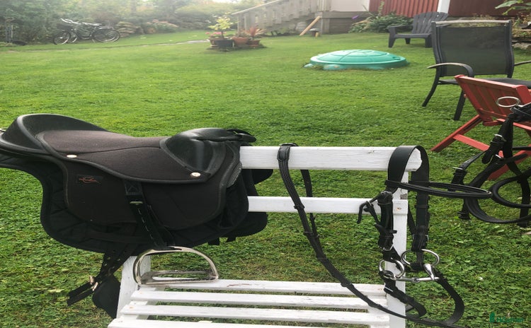 Övrig Ryttarutrustning ryttarutrustning till salu: Utrustning till minishettis i Väröbacka - Annons 16