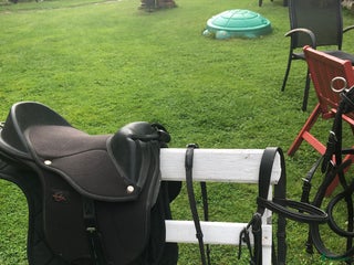 Övrig Ryttarutrustning ryttarutrustning till salu: Utrustning till minishettis i Väröbacka - Annons 17