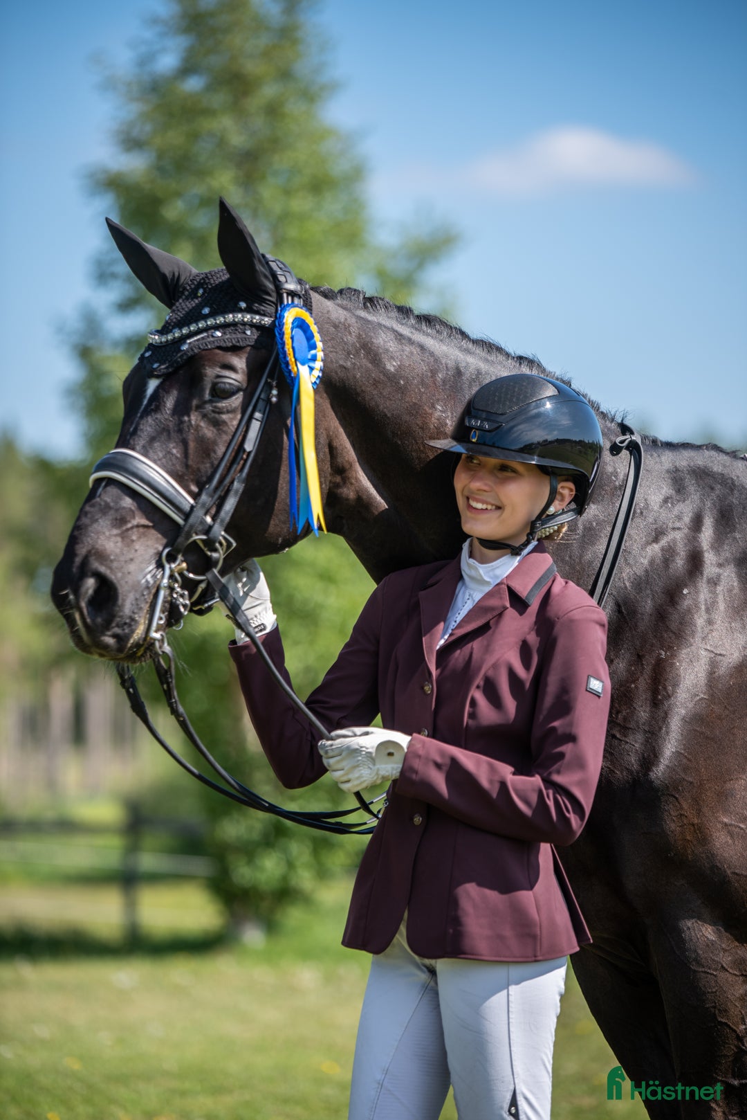 Dressyr hästar till salu: En häst med hjärta av guld söker sin nya bästa vän - Annons 2