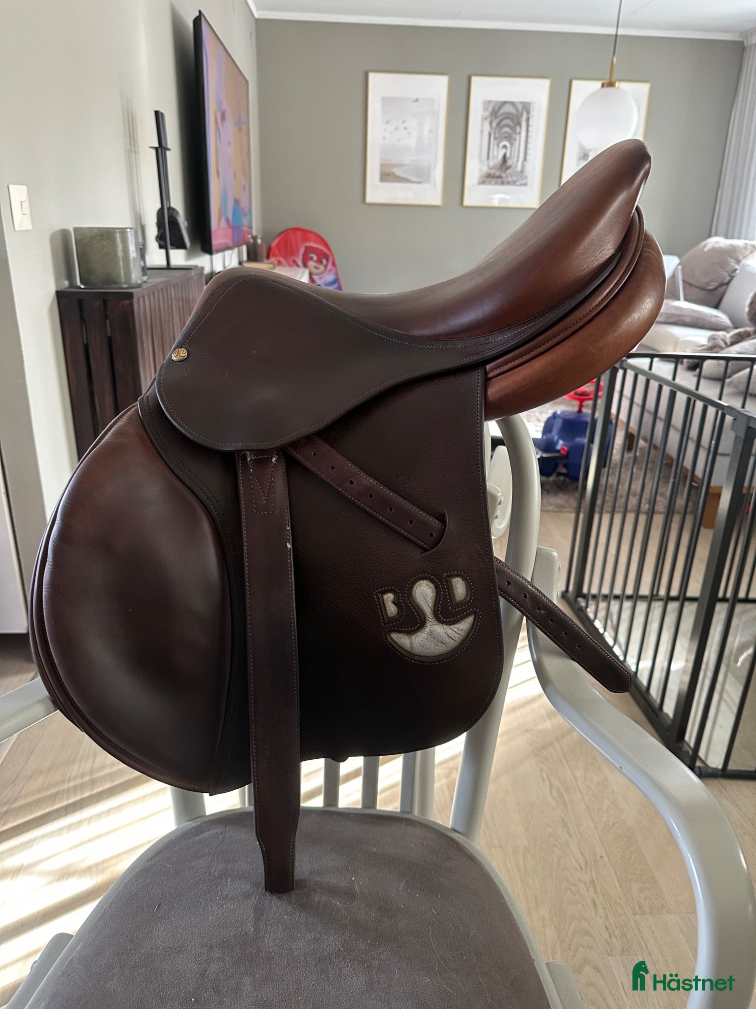 Sadlar hästutrustning Bruno delgrange  - Annons 1
