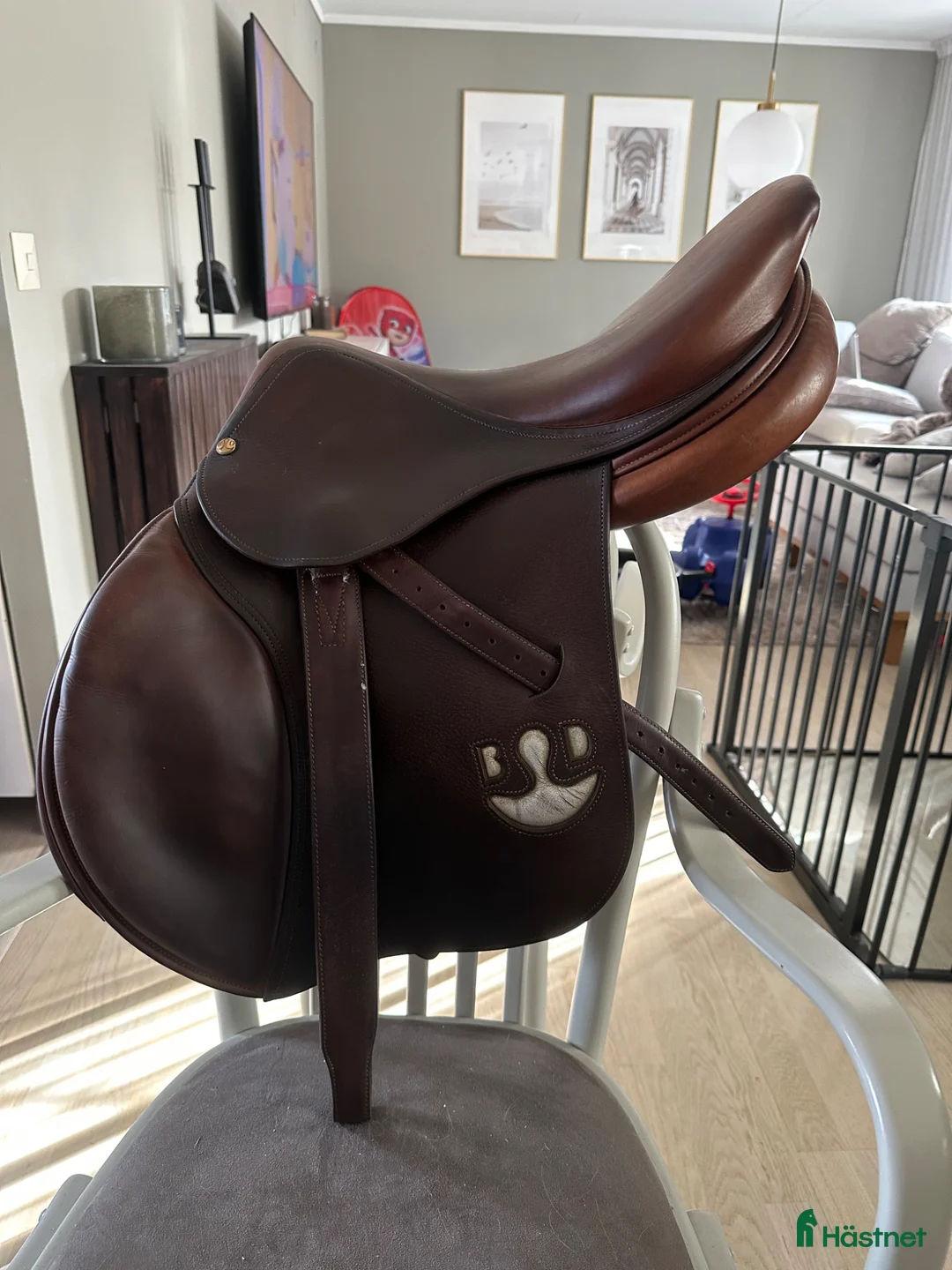 Sadlar hästutrustning till salu: Bruno delgrange  - Annons 1