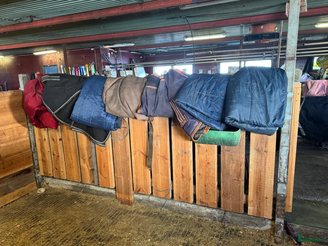 Täcken hästutrustning till salu: Vintertäcke, regntäcke, stalltäcke - Annons 1