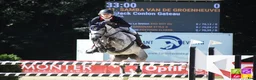 Hoppning hästar till salu: 148 Big Tracks ponies at Gateau Stables France - Annons 7