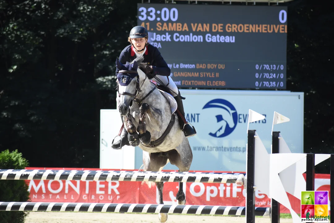 Hoppning hästar till salu: 148 Big Tracks ponies at Gateau Stables France - Annons 7