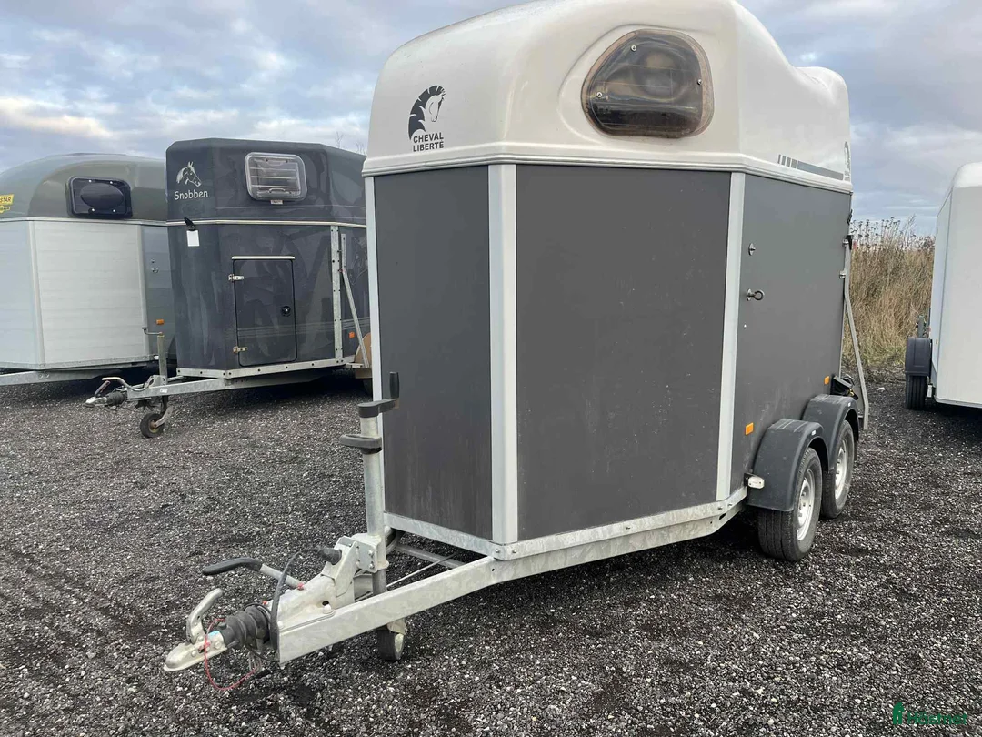 Hästtransporter  fordon & transport till salu: Fin hästtransport utan sadelkammare i Löderup - Annons 4