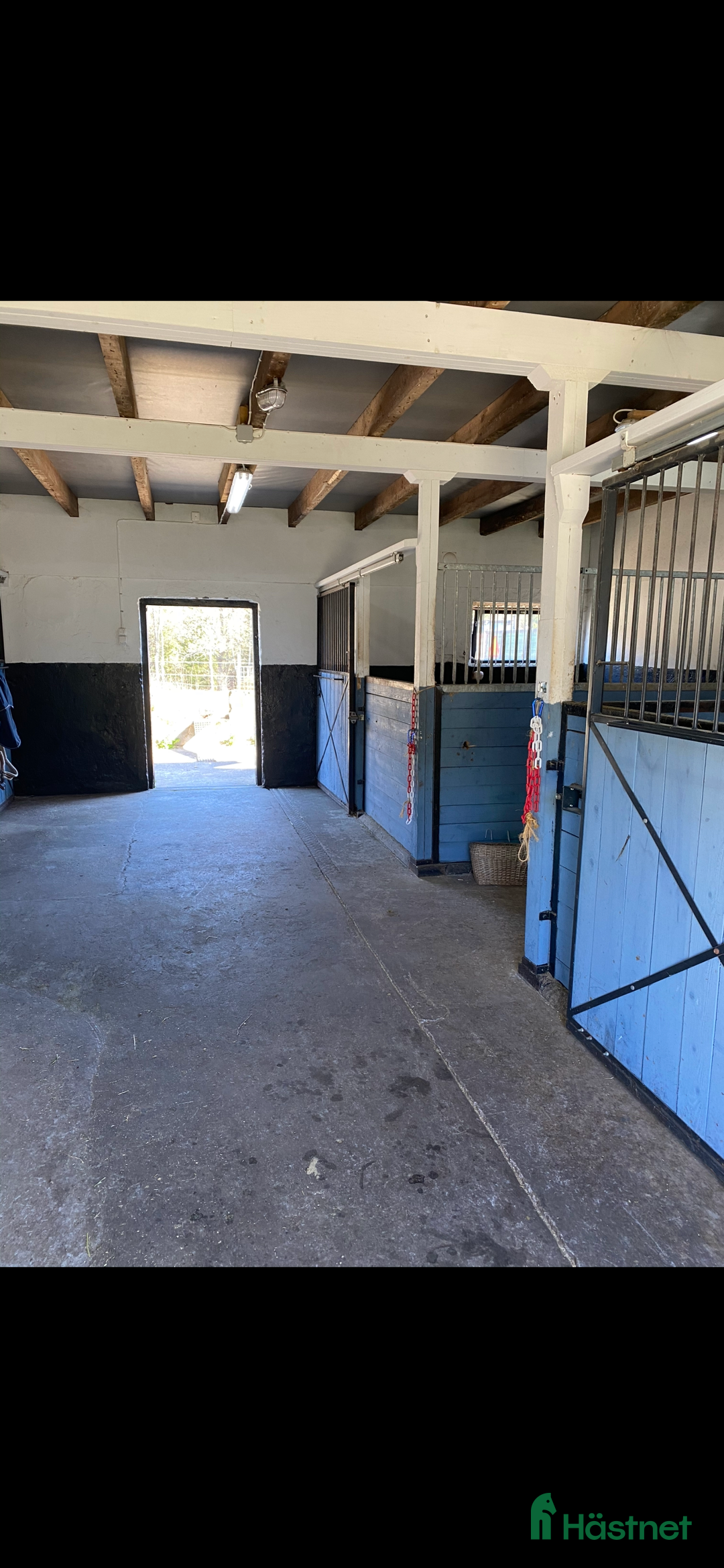  stallplats finnes: Stallplats Ljungby  i Ljungby - Annons 4