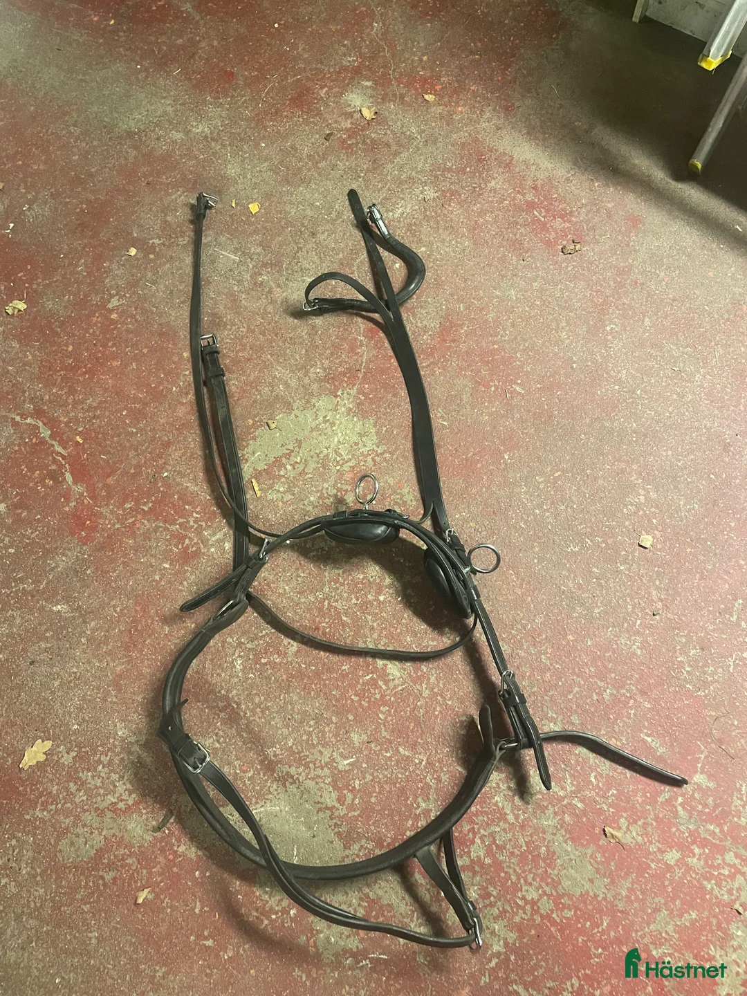 Övrig Hästutrustning hästutrustning till salu: Shettis utrustning  - Annons 3