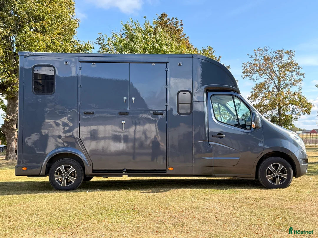 Hästlastbilar  fordon & transport till salu: Horsepartner Renault master Nuyts - Annons 2