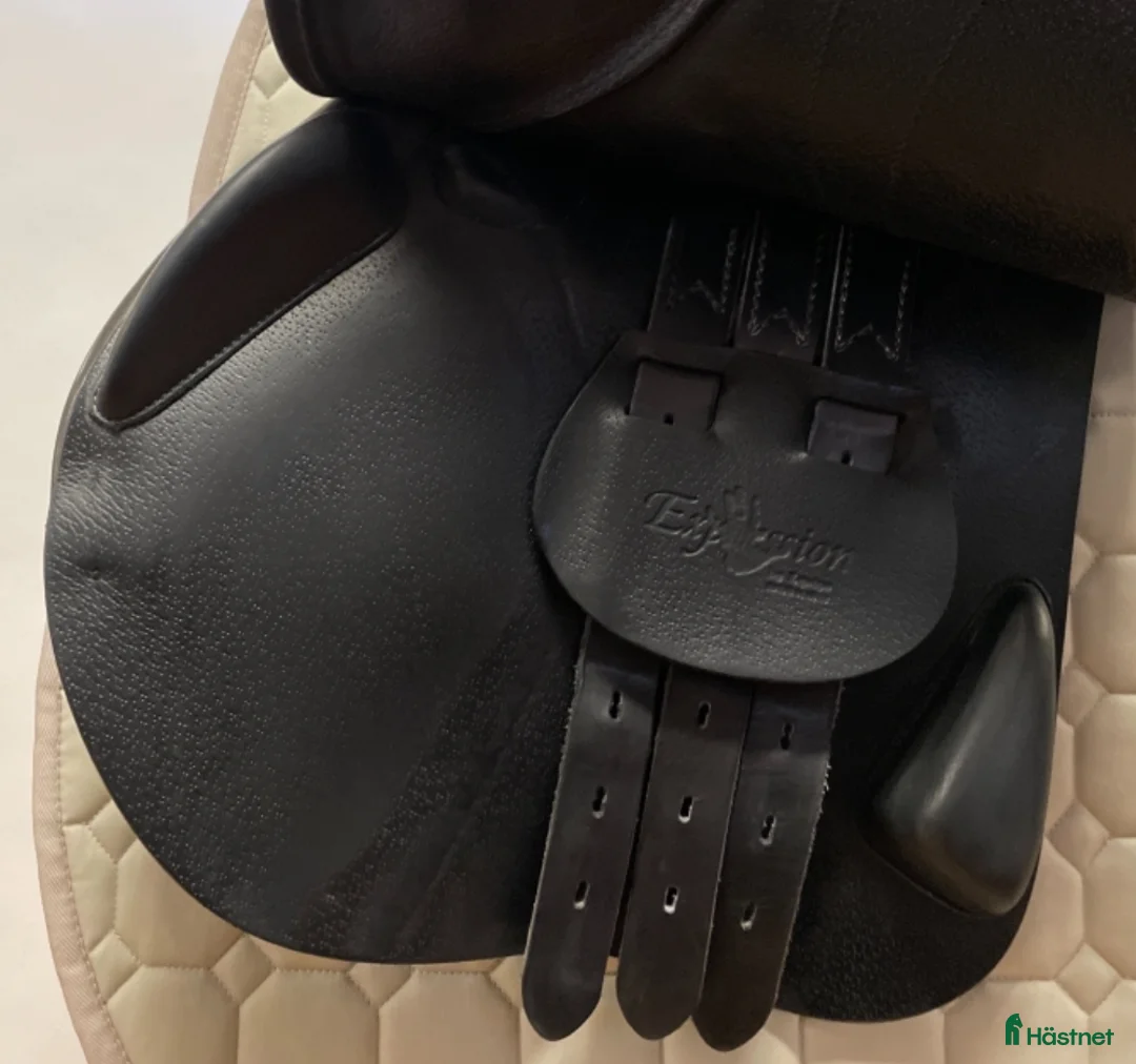 Sadlar hästutrustning till salu: Fin begagnad Expression Special från 2019 - Annons 2