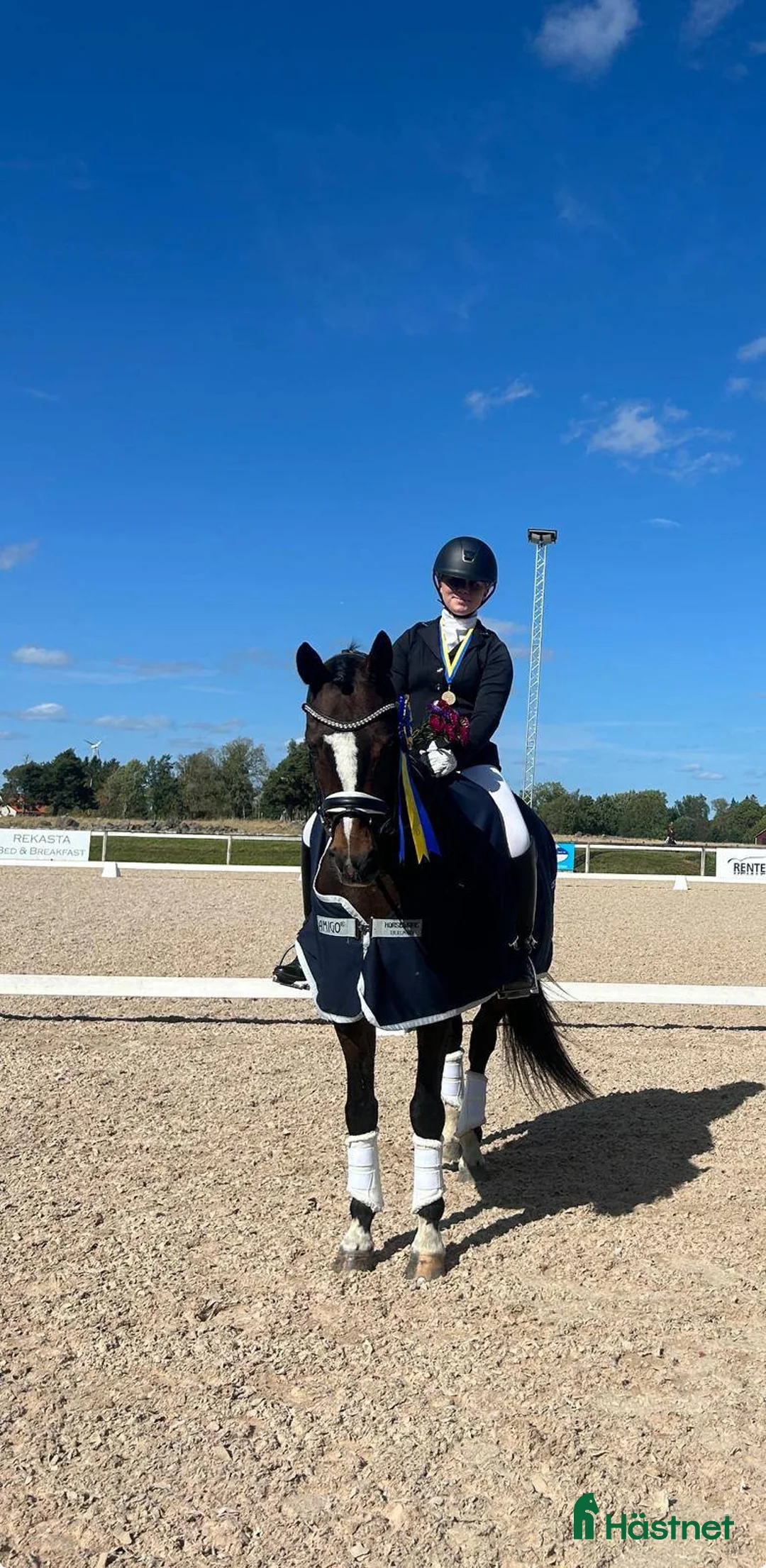 Dressyr hästar till salu: Fantastisk FEI-ponny - Annons 3