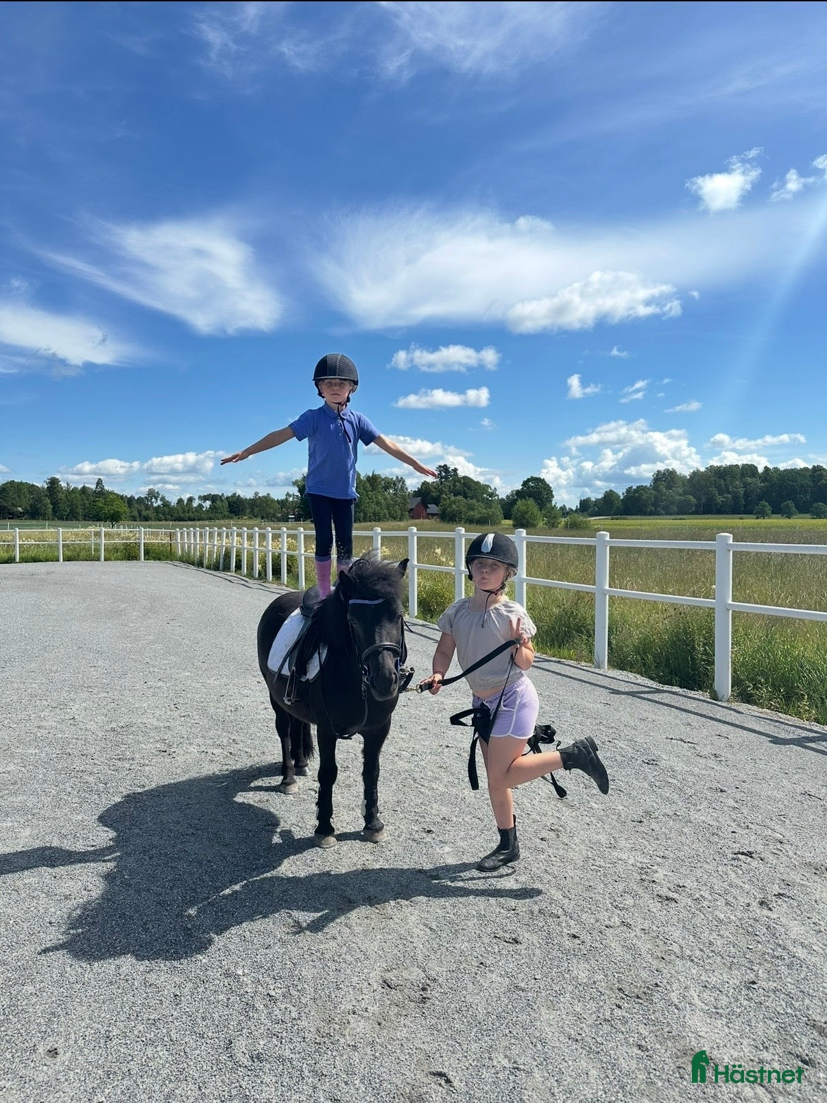  hästar ❣️ Världens bästa, trygga Löken ❣️ - Annons 2