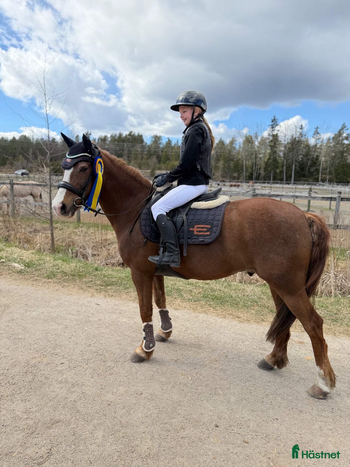  hästar Första ponny och bästa läromästare - Annons 2