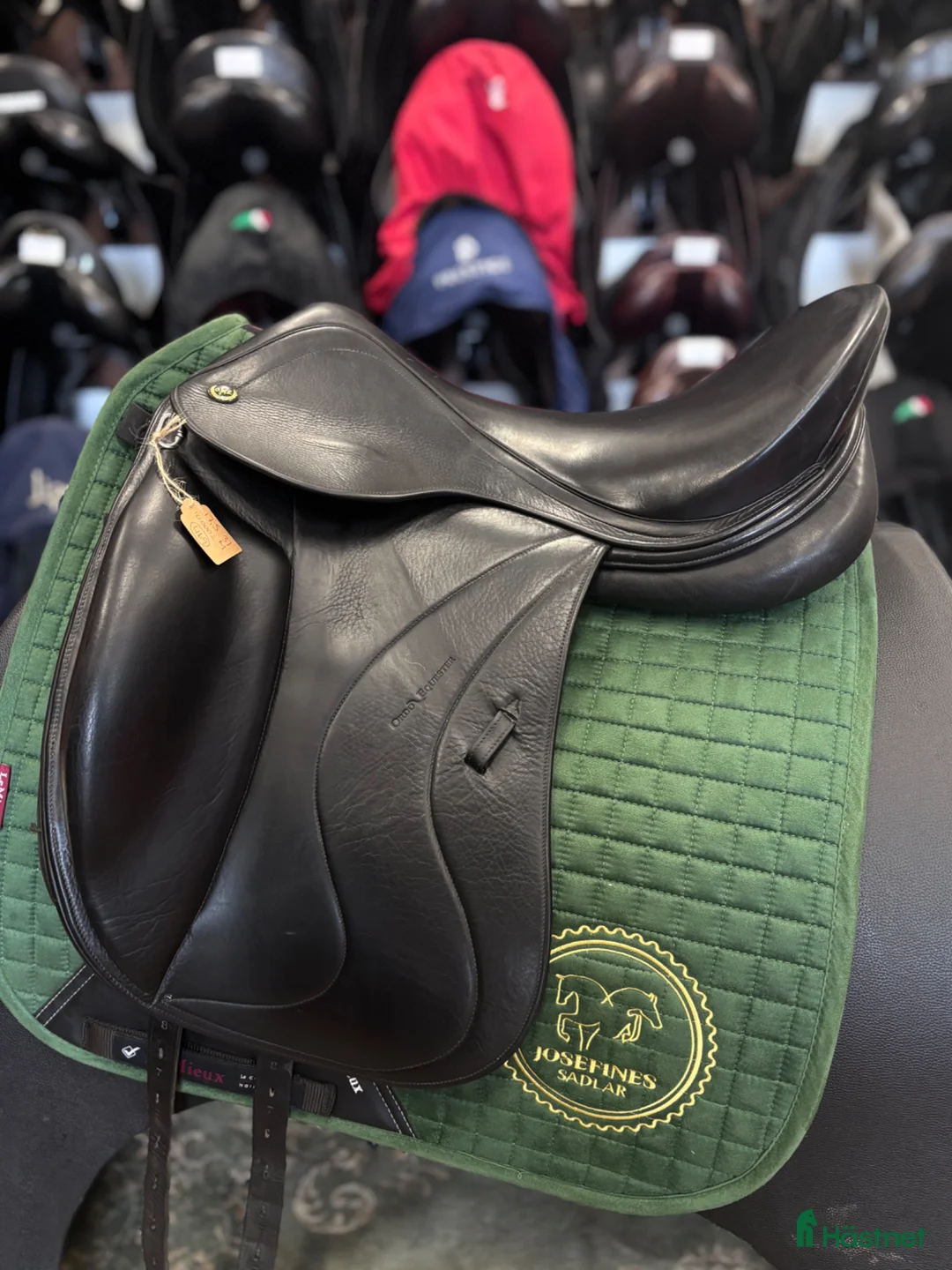 Sadlar hästutrustning till salu: Ordo Equestrian 🌸 - Annons 1