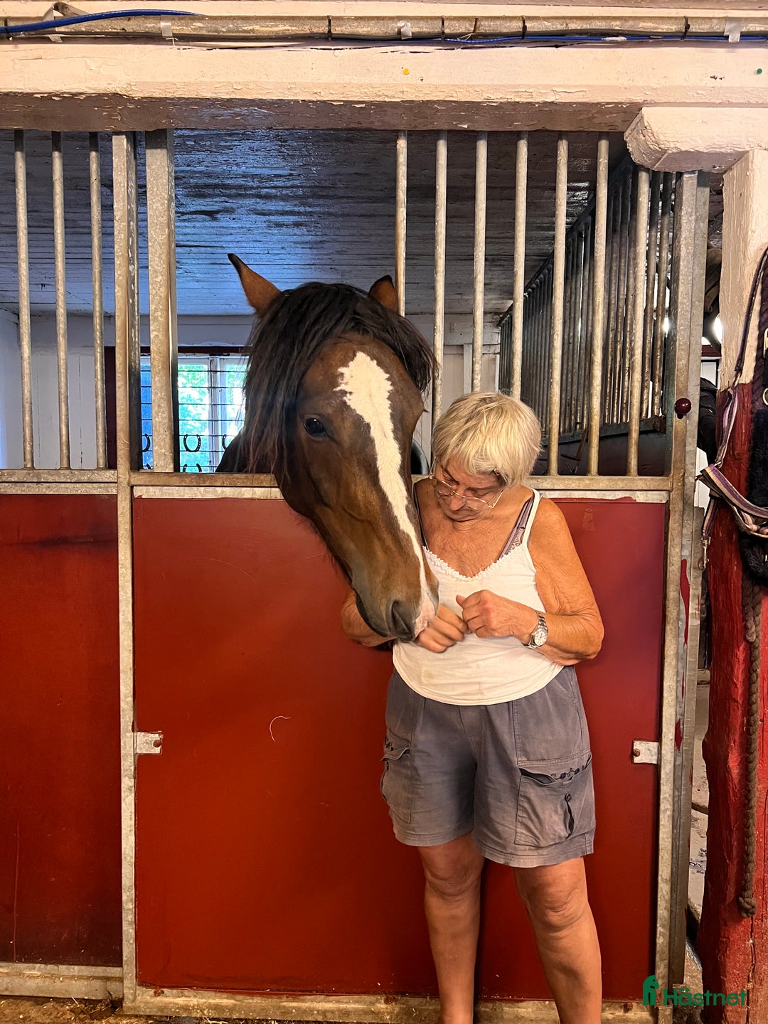  stallplats finnes: Uppsala ledig boxplats i Uppsala - Annons 1