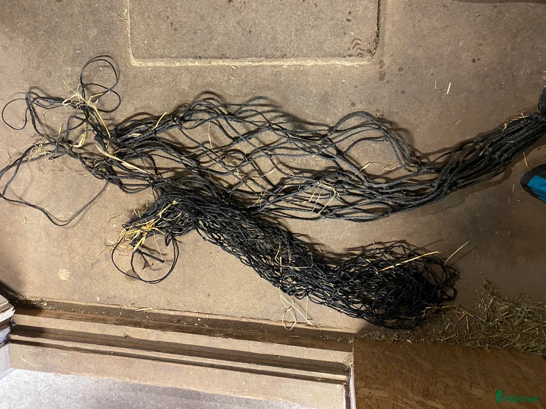 Övrig Hästutrustning hästutrustning till salu: Häst och stall utrustning  - Annons 3