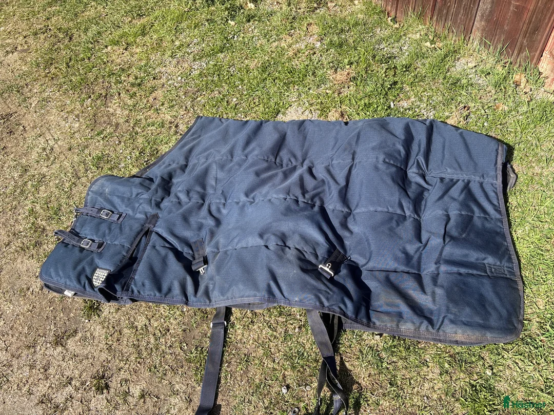 Täcken hästutrustning till salu: Stalltäcke 145 - Annons 2