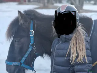 hästar Tryggt russ söker förevigt hem ❤️ i Umeå - Annons 5