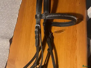 Träns hästutrustning Eqviptus träns cob - Annons 2