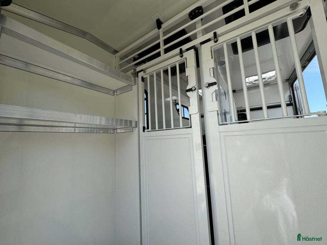 Hästlastbilar  fordon & transport till salu: PARAGAN EXCELSION 5XL STUTERI  i Köping - Bild 10