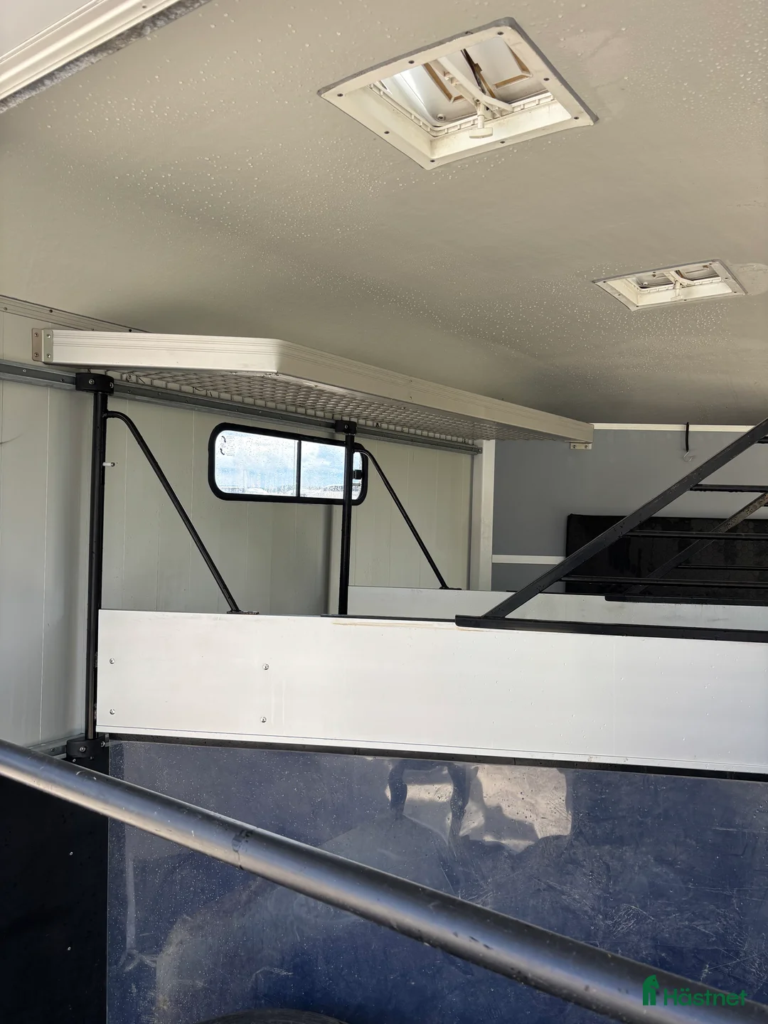 Hästtransporter  fordon & transport till salu: Cheval Liberte maxi 3-2022 fint skick  i Västerås - Annons 10