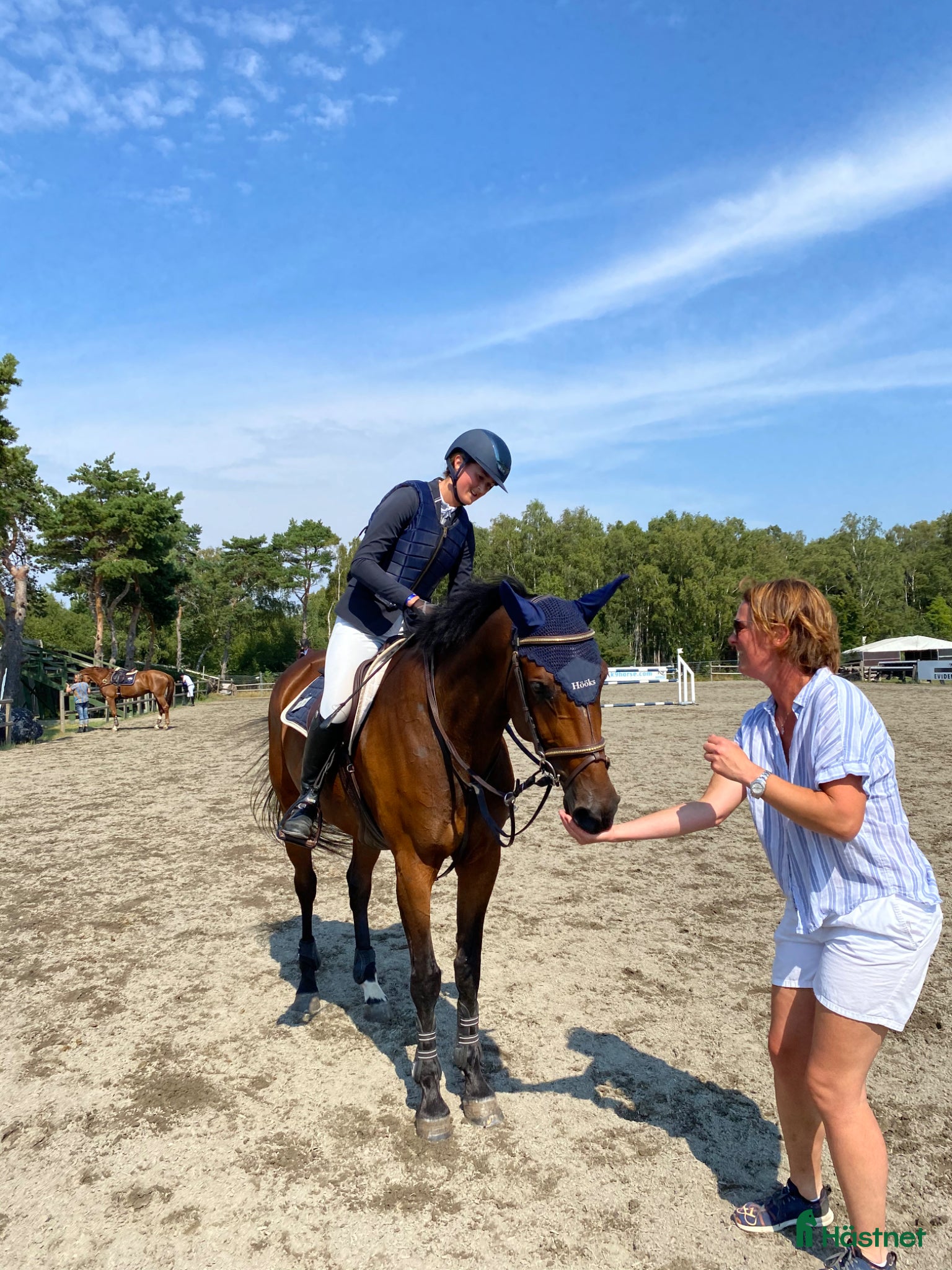  hästar Trevligt sto med bra stam - Annons 1