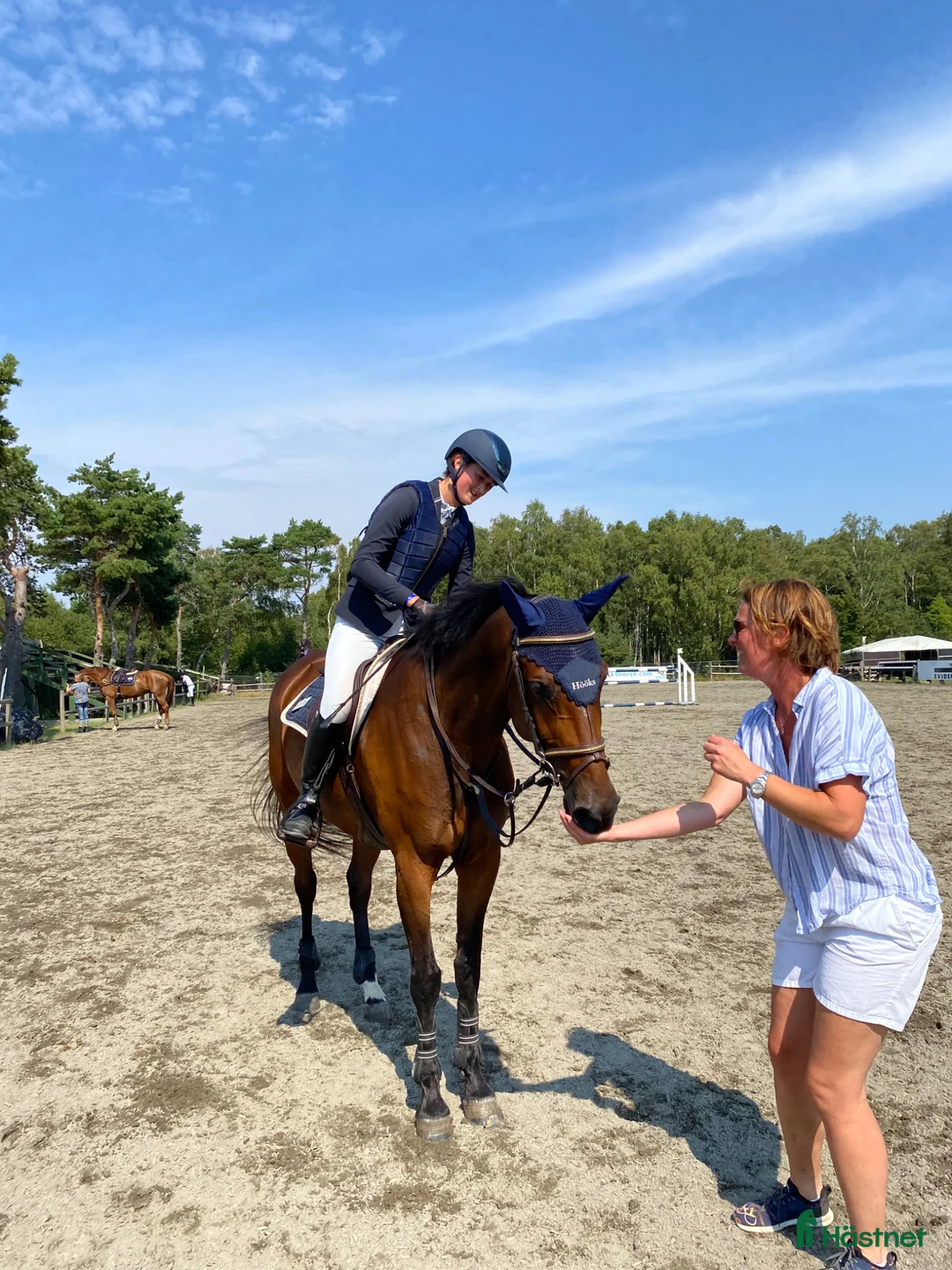 Allround hästar till salu: Trevligt sto med bra stam - Annons 1