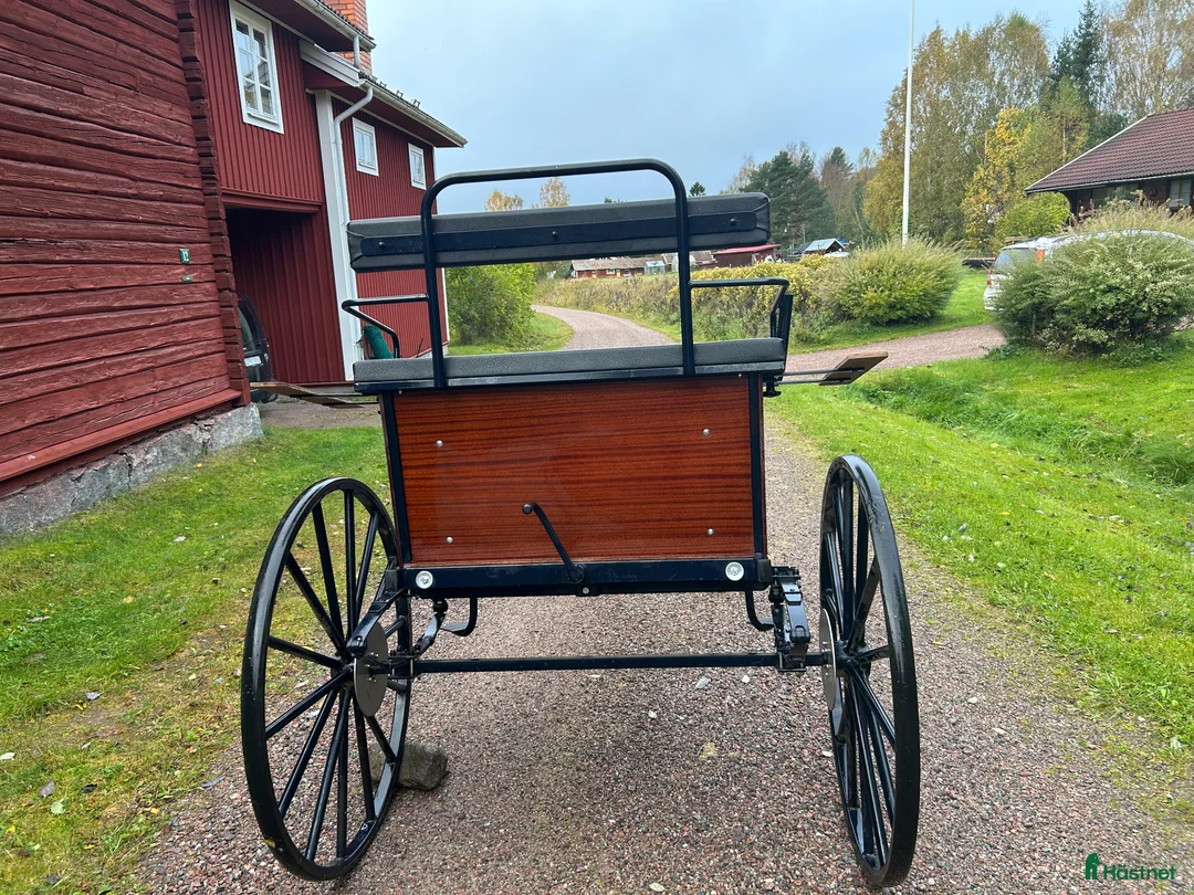 Körvagnar körning till salu: Tidaholmsgigg - Annons 5