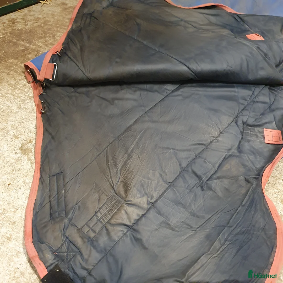 Täcken hästutrustning till salu: Amigo Bravo 12 plus 250g strl 6.3/140 - Annons 7