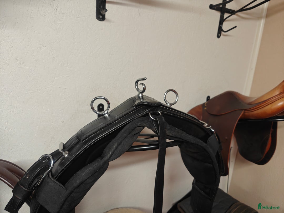 Körselar körning till salu: Maratonsele  i Umeå - Annons 1