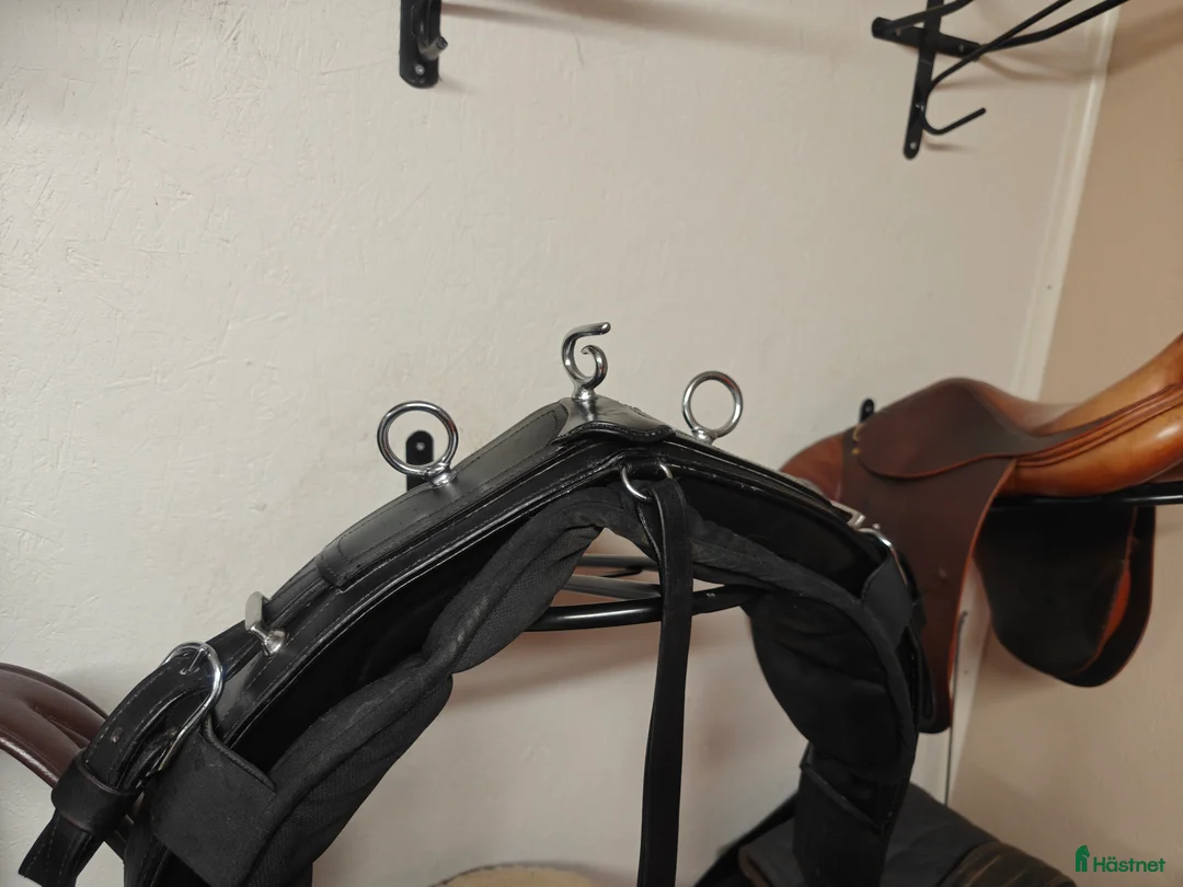 Körselar körning till salu: Däckel (sele) - Annons 1