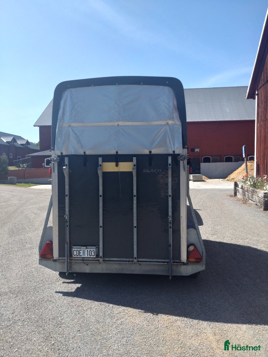 Hästtransporter  fordon & transport till salu: RAUSCH ELITE XL (besiktigad till 2026-04-30) i Järna - Annons 3