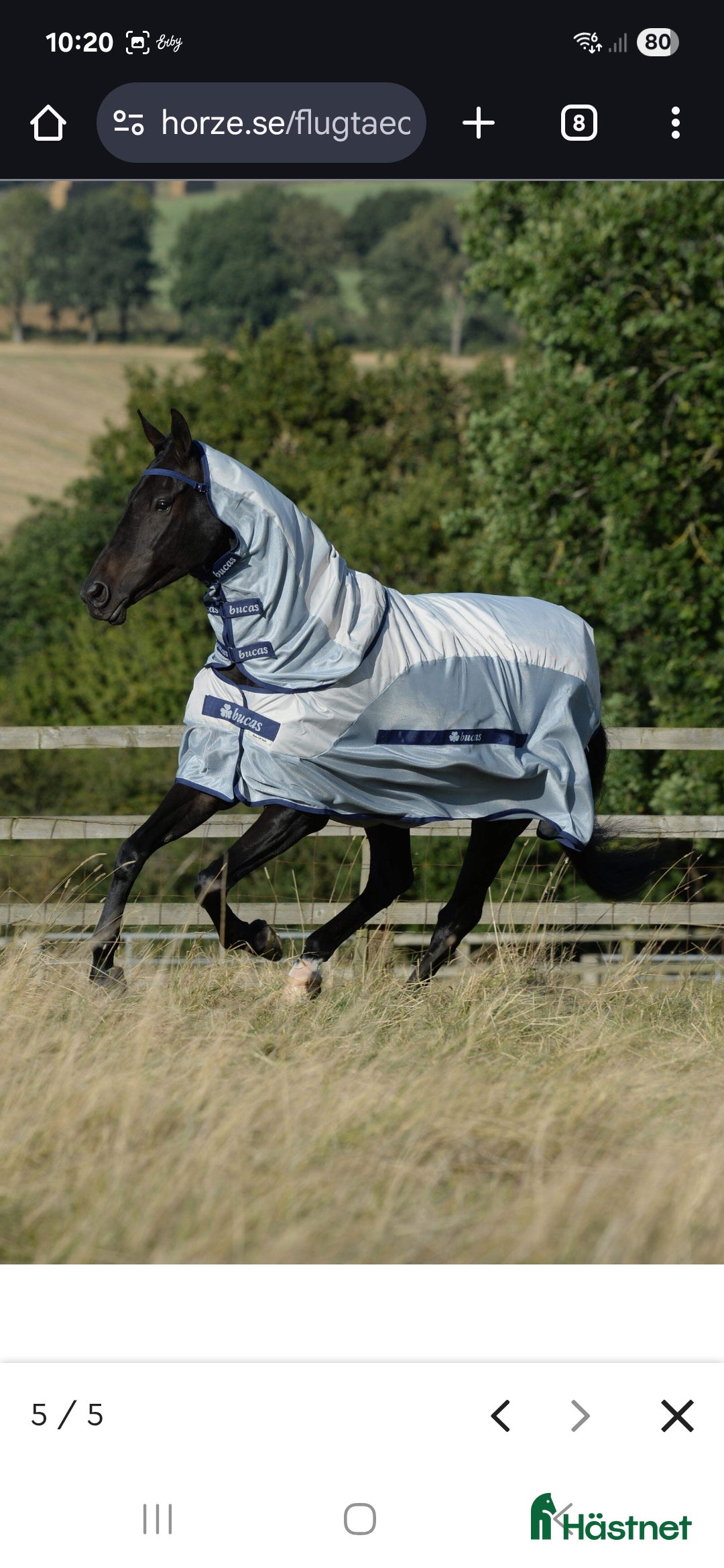Täcken hästutrustning till salu: Bucas buzz of rain i Kusmark - Annons 18