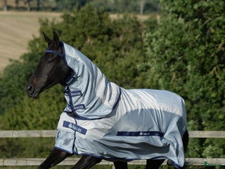 Täcken hästutrustning till salu: Bucas buzz of rain i Kusmark - Annons 18