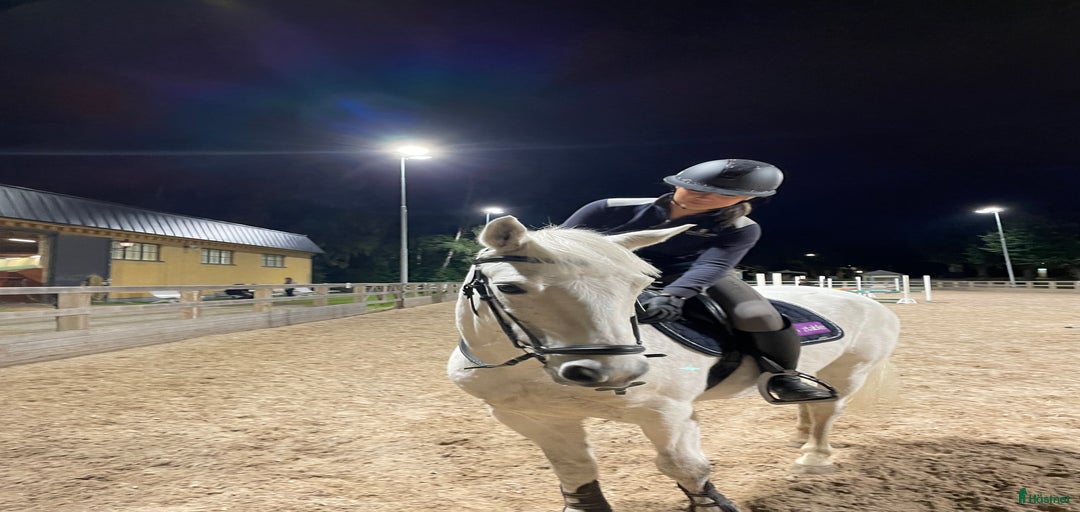 Galleribild {{count}}