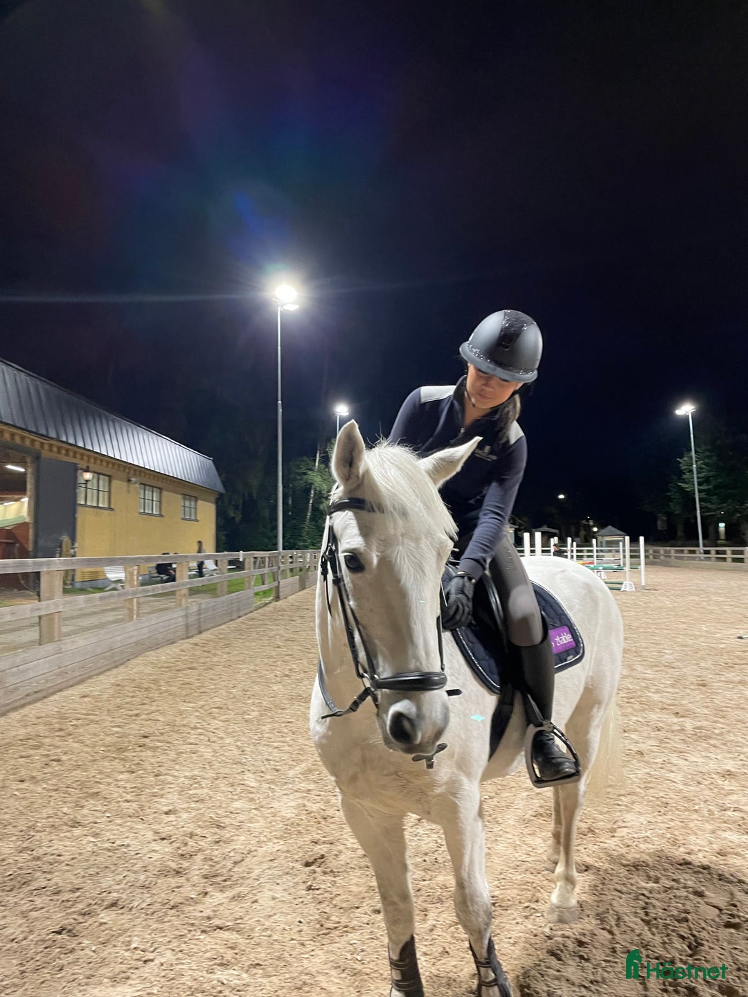 Galleribild {{count}}