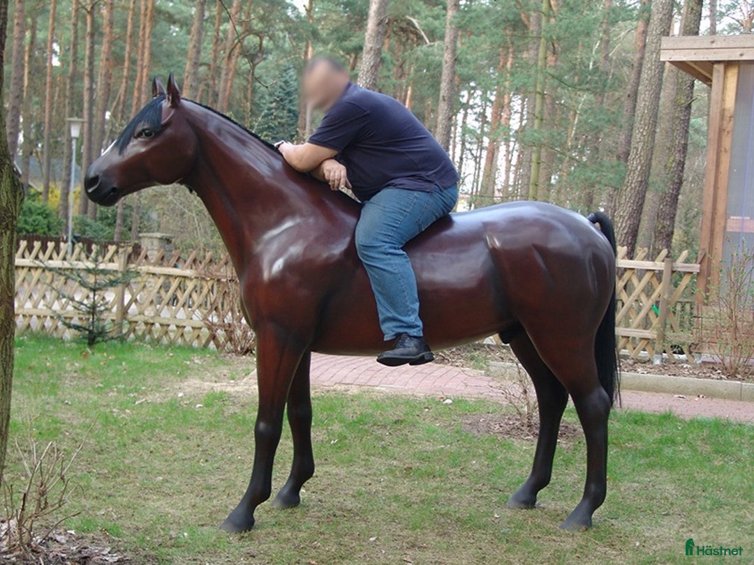 Hästinspirerad heminredning övrig utrustning till salu: Unika glasfiberhästar i naturlig storlek i Luleå - Annons 17