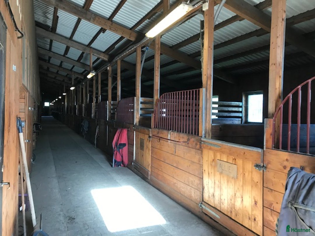  stallplats finnes: Stallplats med ridhus i Björklinge - Annons 4