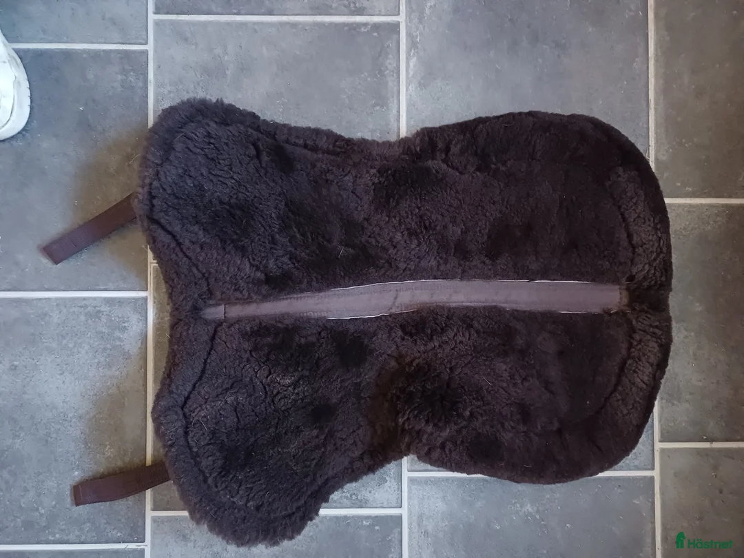 Sadeltillbehör hästutrustning till salu: Brun fårskinnspad - Annons 2