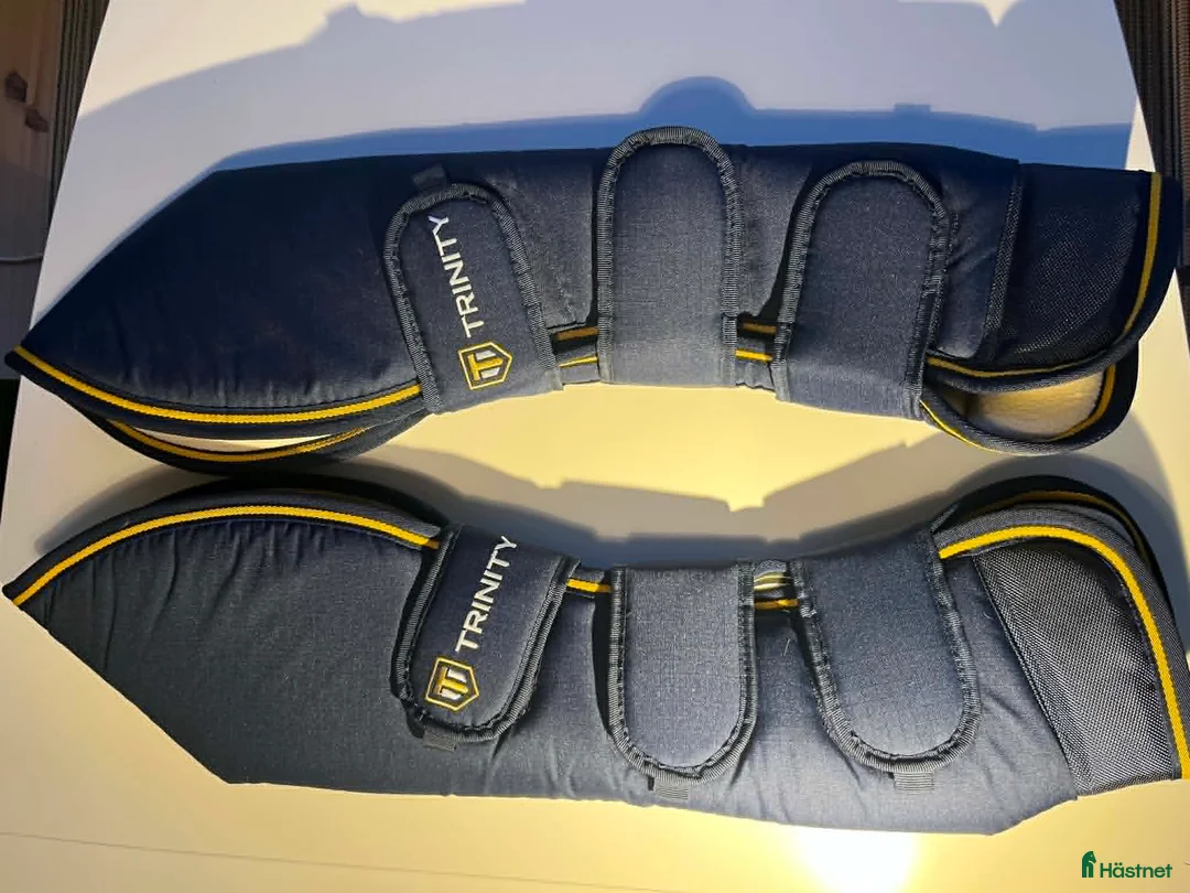 Benskydd hästutrustning till salu: Transportskydd bak, benlindor - Annons 1