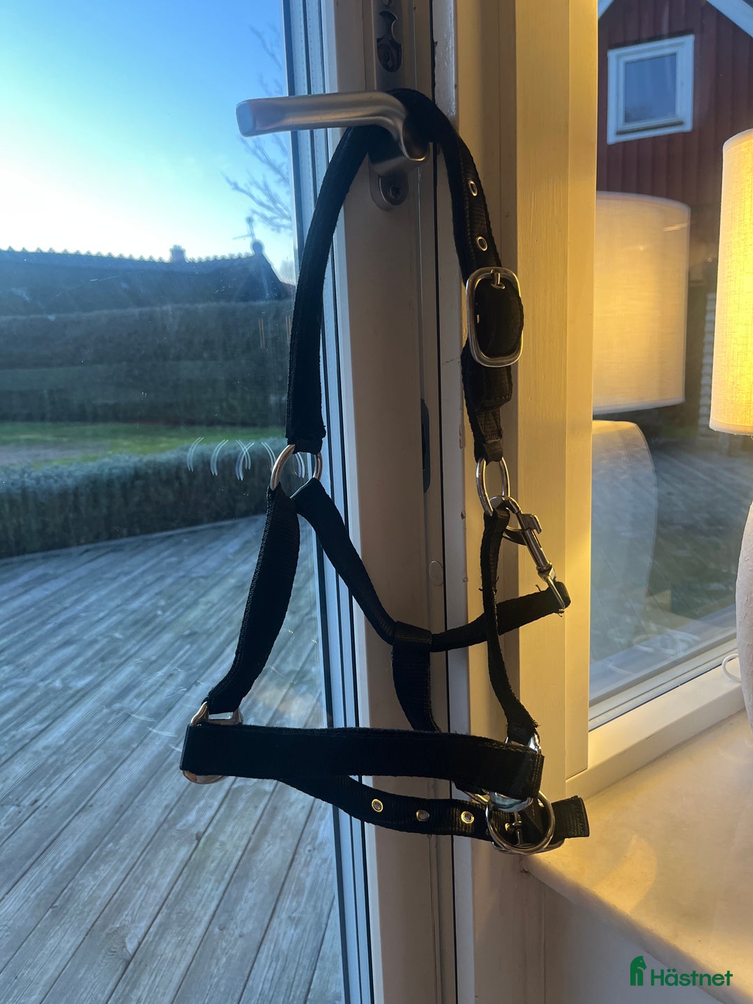 Träns hästutrustning till salu: Nyskick grimma säljes i Påarp - Annons 1